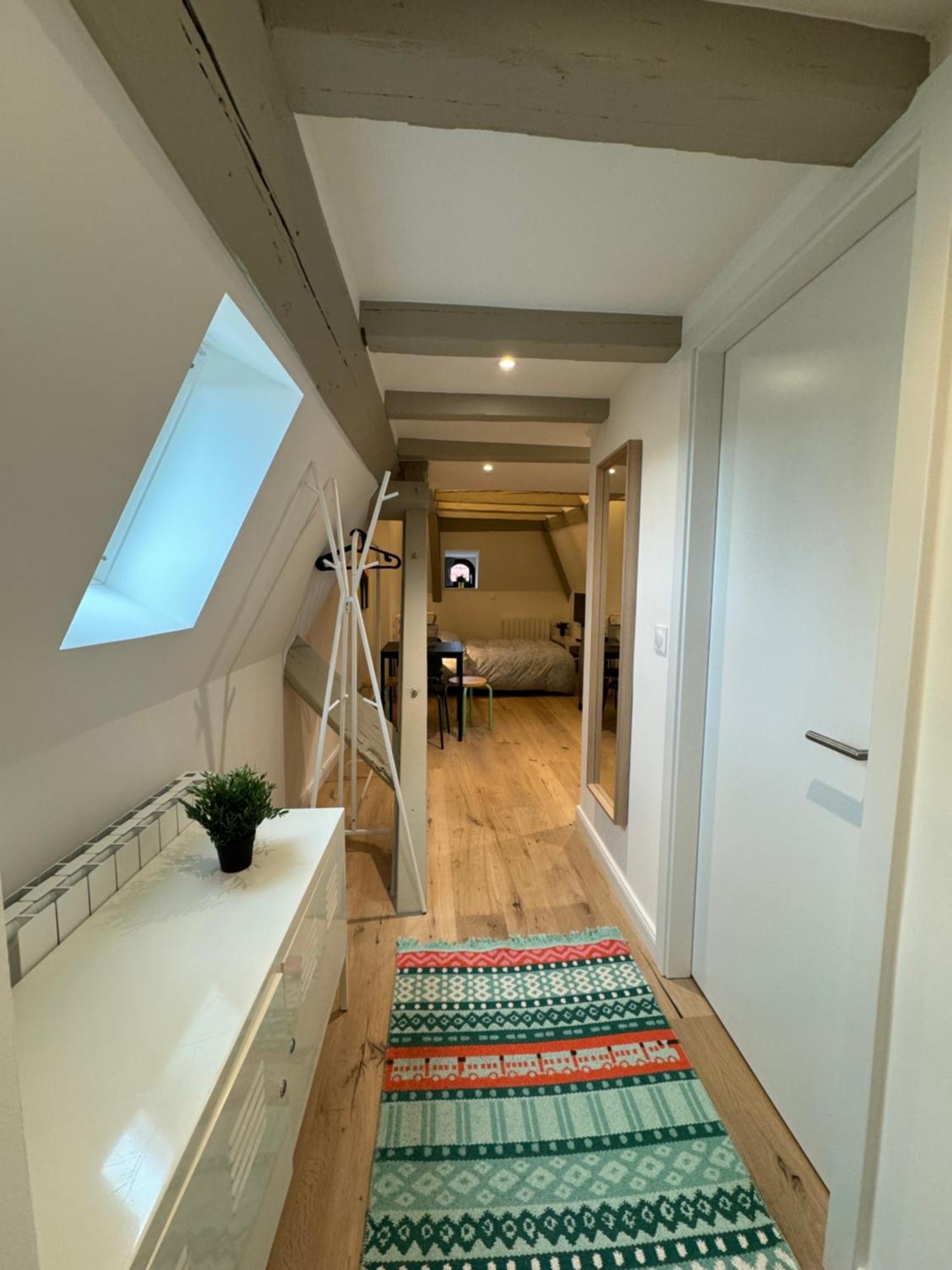 Le Salzmann Apartment Strasbourg Exterior foto