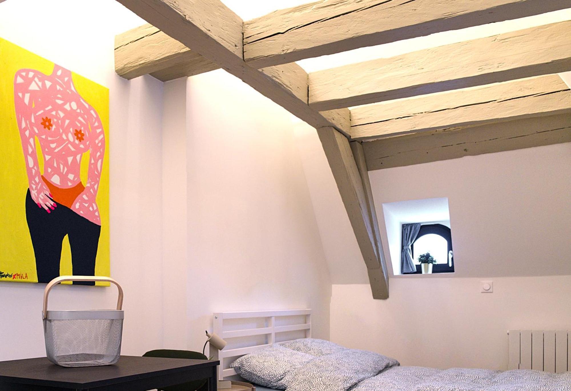Le Salzmann Apartment Strasbourg Exterior foto