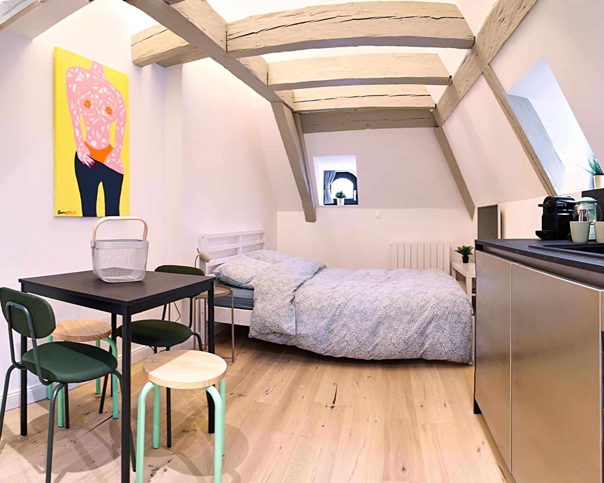 Le Salzmann Apartment Strasbourg Exterior foto