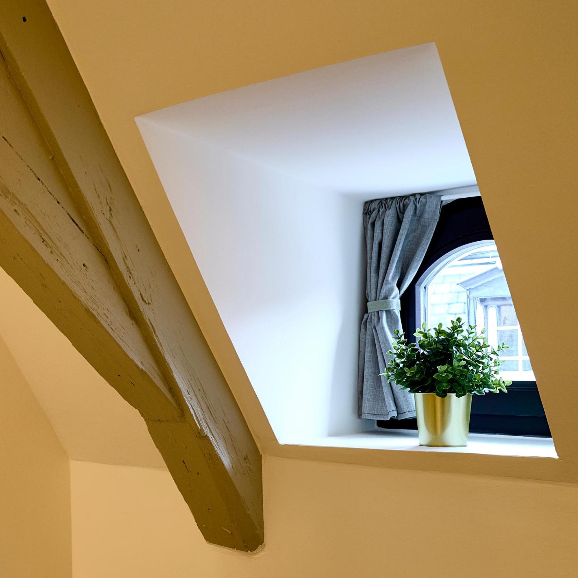 Le Salzmann Apartment Strasbourg Exterior foto