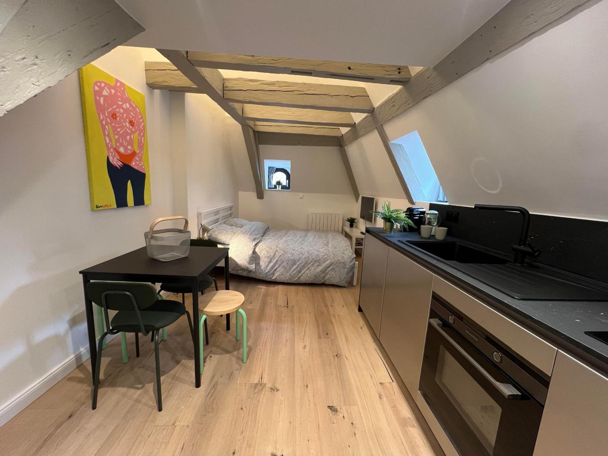 Le Salzmann Apartment Strasbourg Exterior foto
