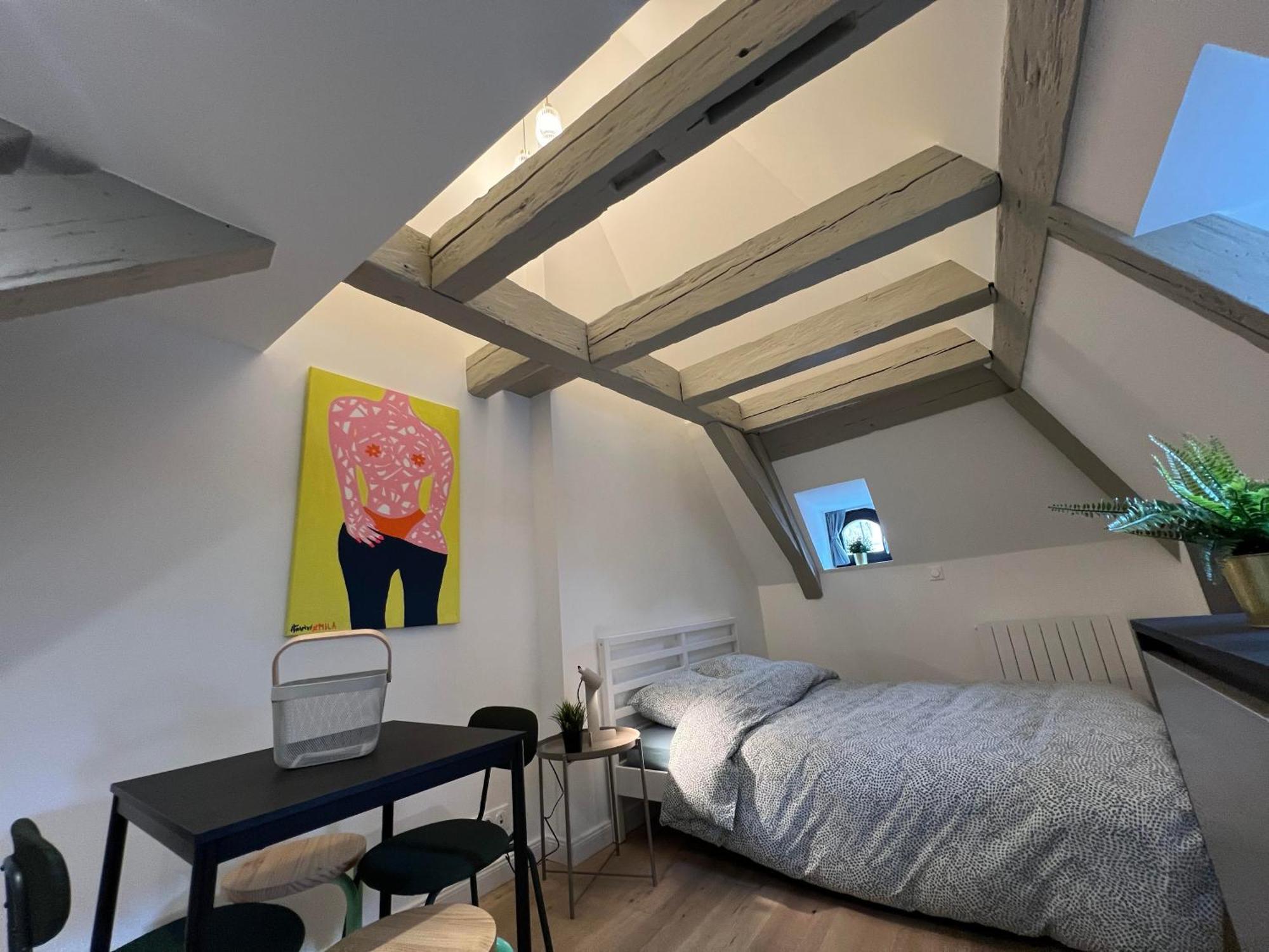 Le Salzmann Apartment Strasbourg Exterior foto